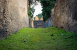 pompeii-kat-84